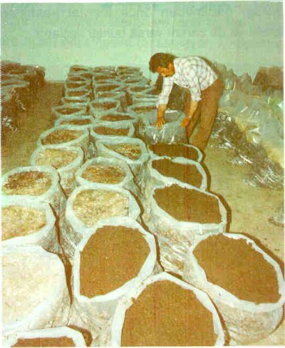 örtü toprağının serilmesi.